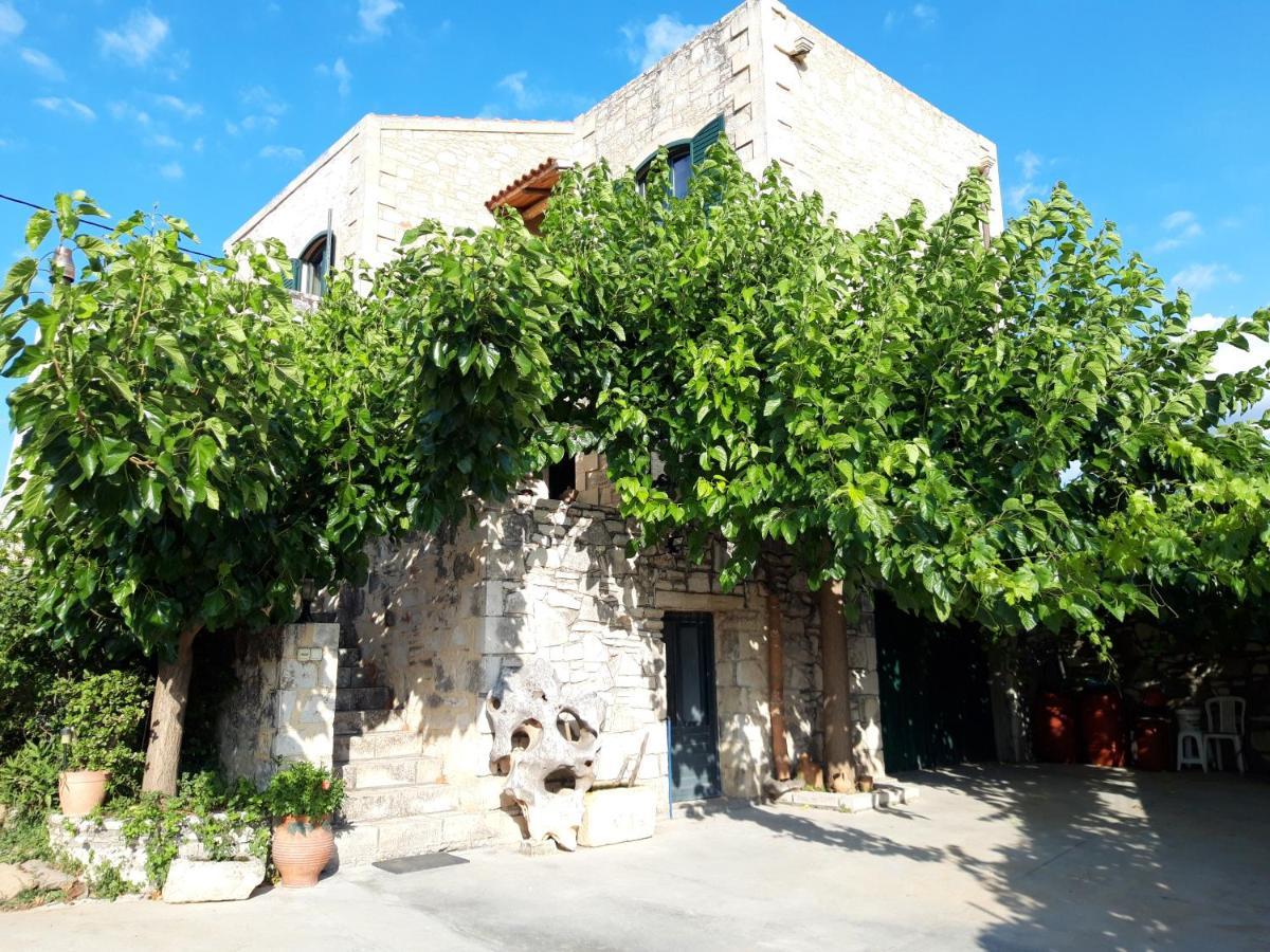 Villa Aloni Μαργαρίτες Εξωτερικό φωτογραφία